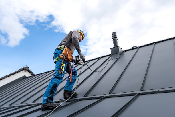 Best Cold Roofs  in Olympia Fields, IL